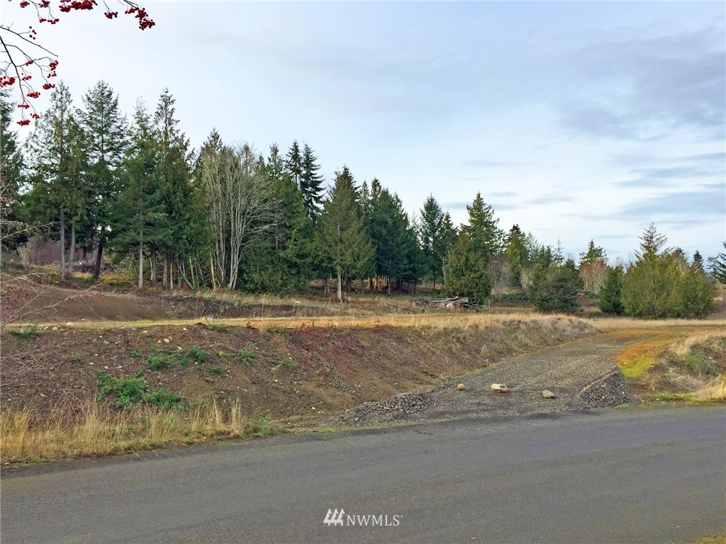 51 Exeter Street Sequim, WA 98382 - Photo 16 of 25