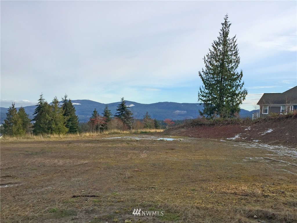 51 Exeter Street Sequim, WA 98382 - Photo 6 of 25