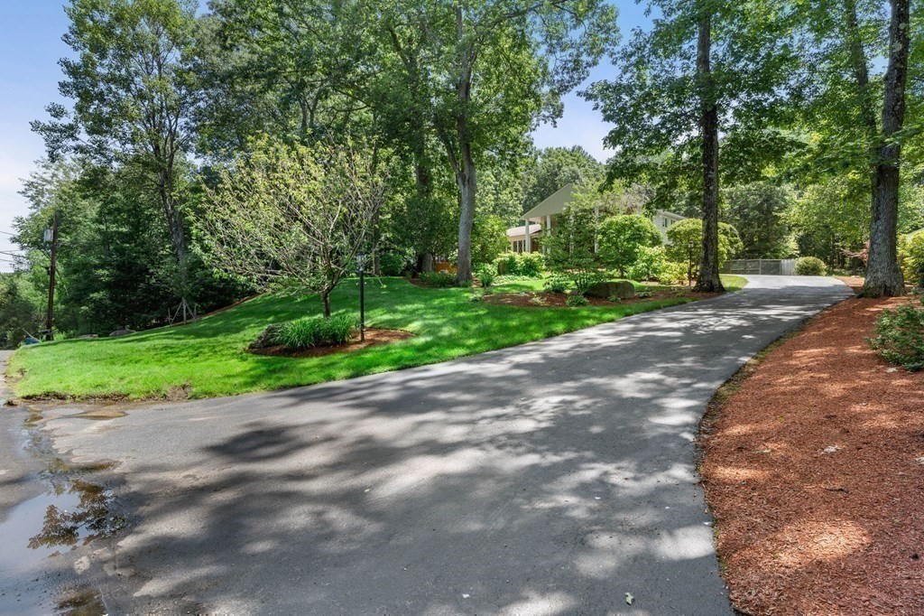 27 Rutgers Road Andover, MA 01810 - Photo 35 of 42 a view of a yard with plants and trees