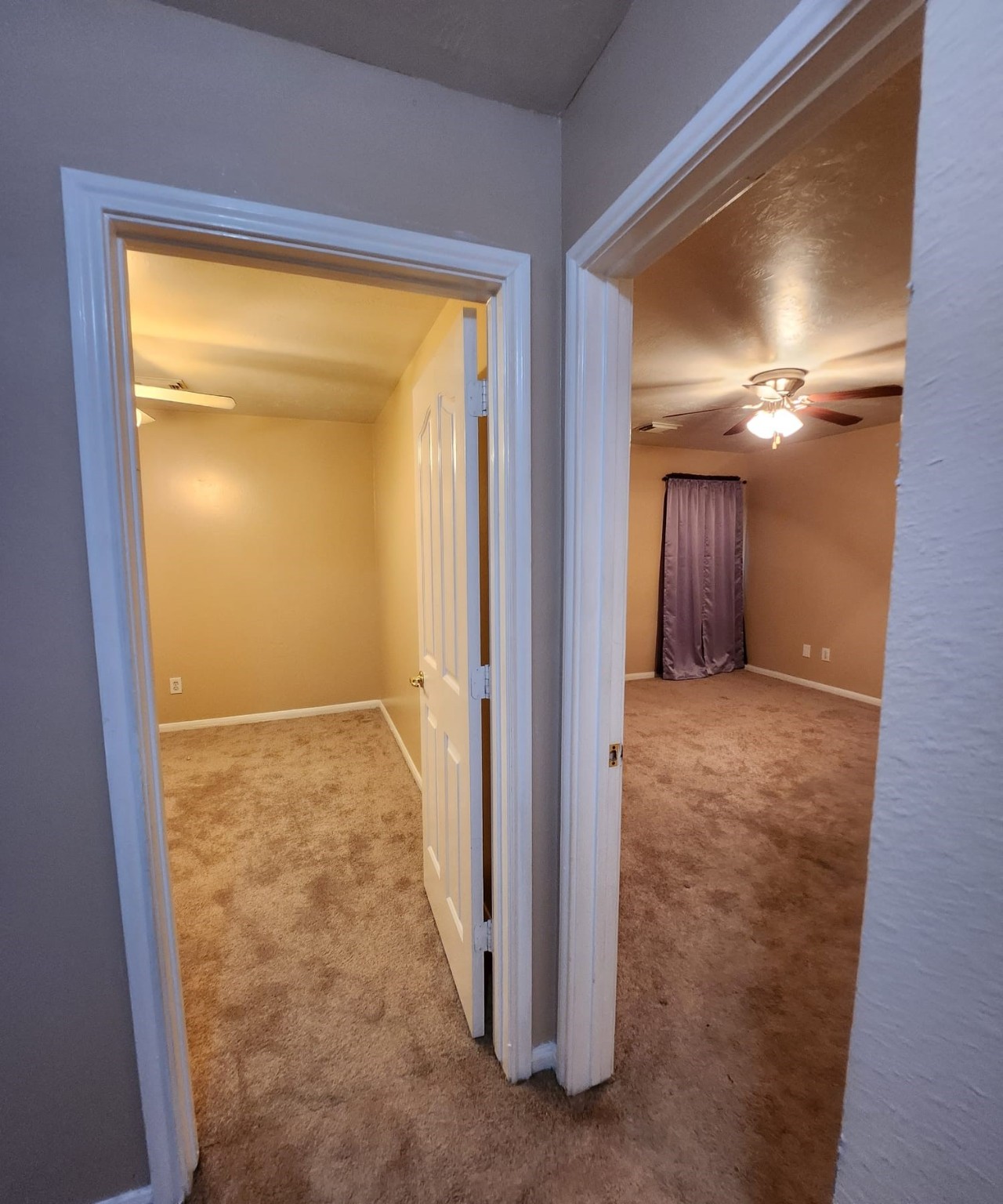 2007 Goldspring Lane Spring, TX 77373 - Photo 16 of 24