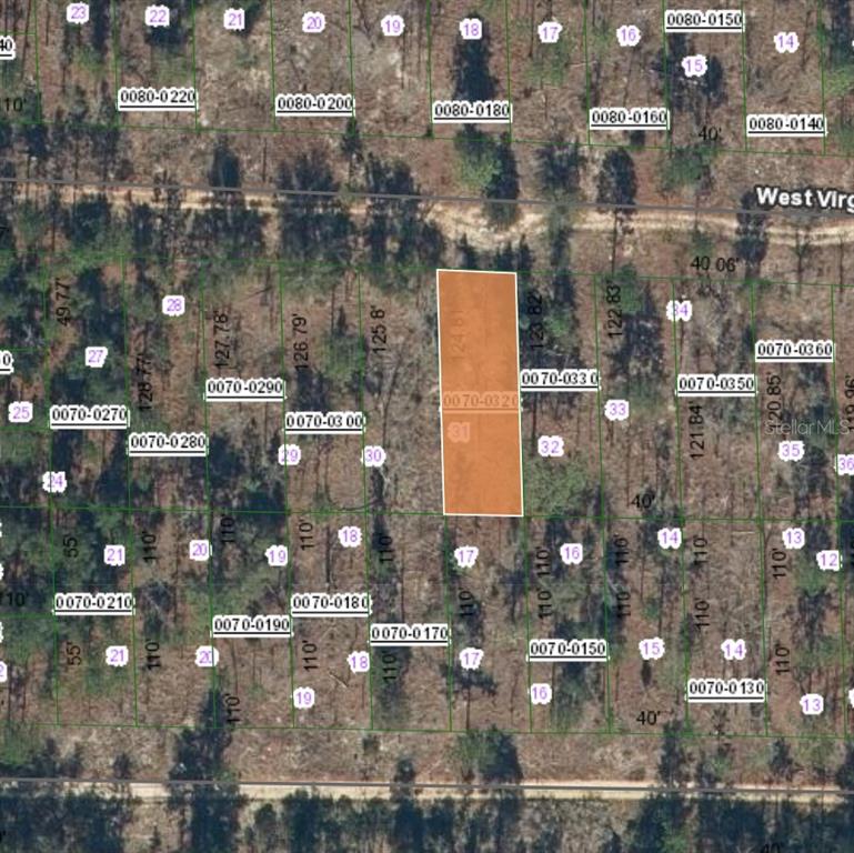 125 West Virginia Street Hawthorne, FL 32640 - Photo 1 of 5