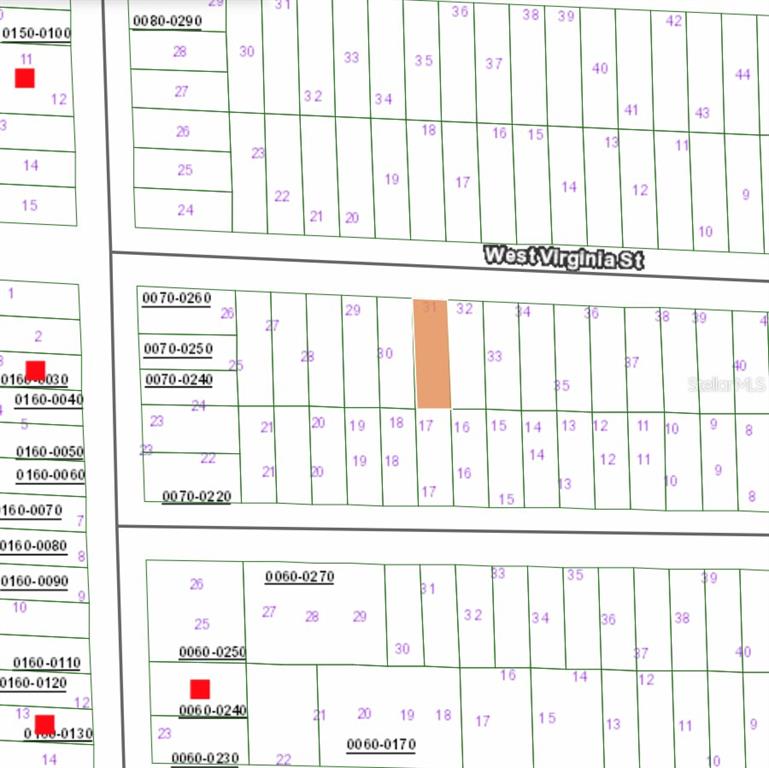 125 West Virginia Street Hawthorne, FL 32640 - Photo 4 of 5