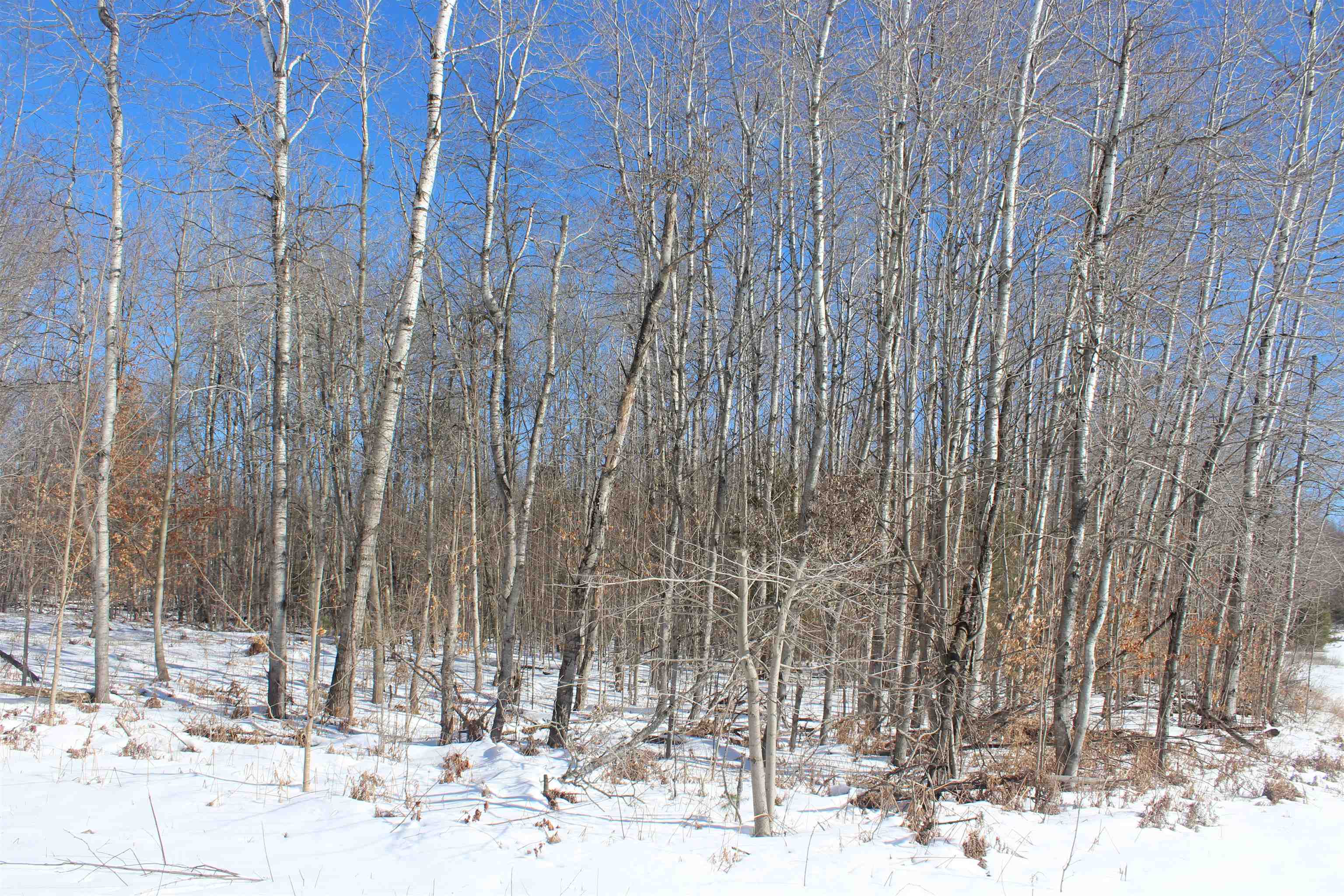 Vl Southeast Vl Se Crouch Road Fife Lake, MI 49633 - Photo 15 of 19
