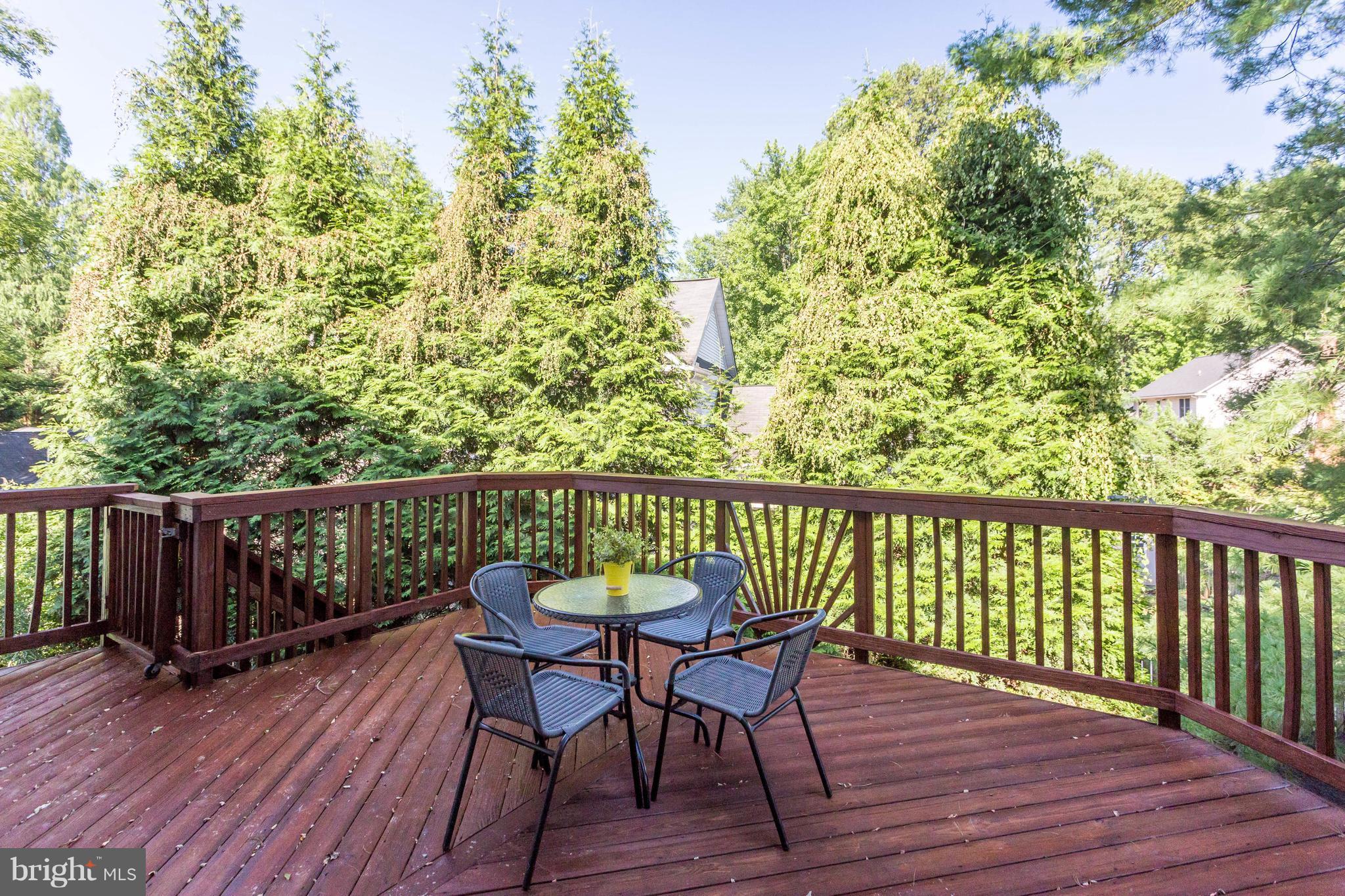 6322 Old Chesterbrook Road McLean, VA 22101 - Photo 29 of 30 Exterior (Rear)