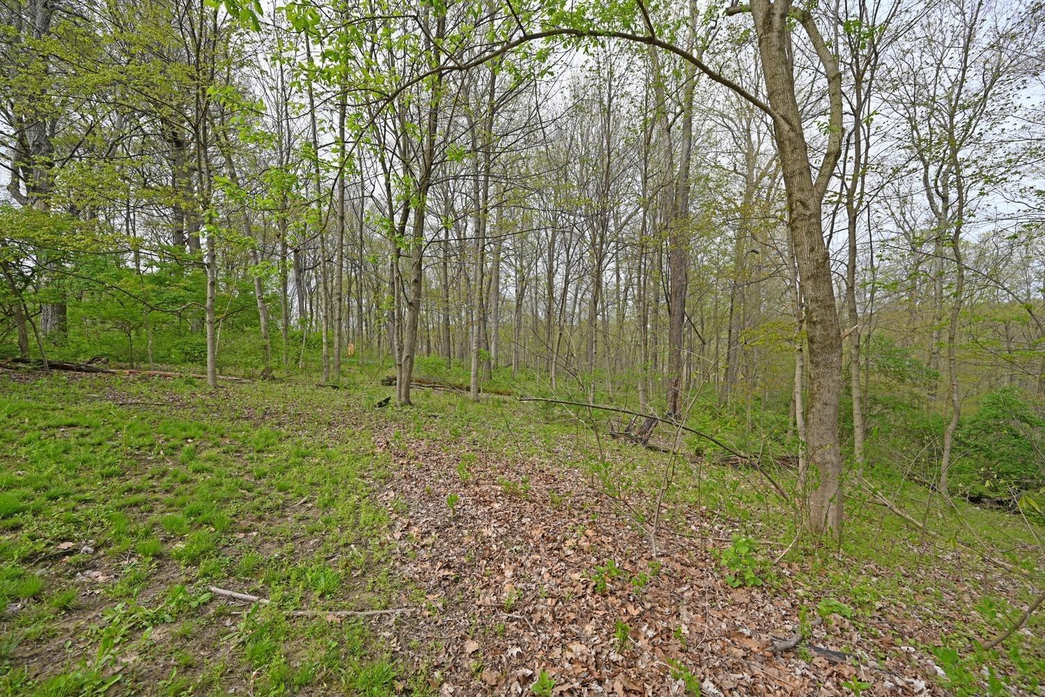 5564 Dry Ridge Road Cincinnati, OH 45252 - Photo 45 of 50 Gallery Image 45