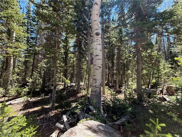 $130,000 | 713 South Paintbrush Street, Brian Head, UT 84719