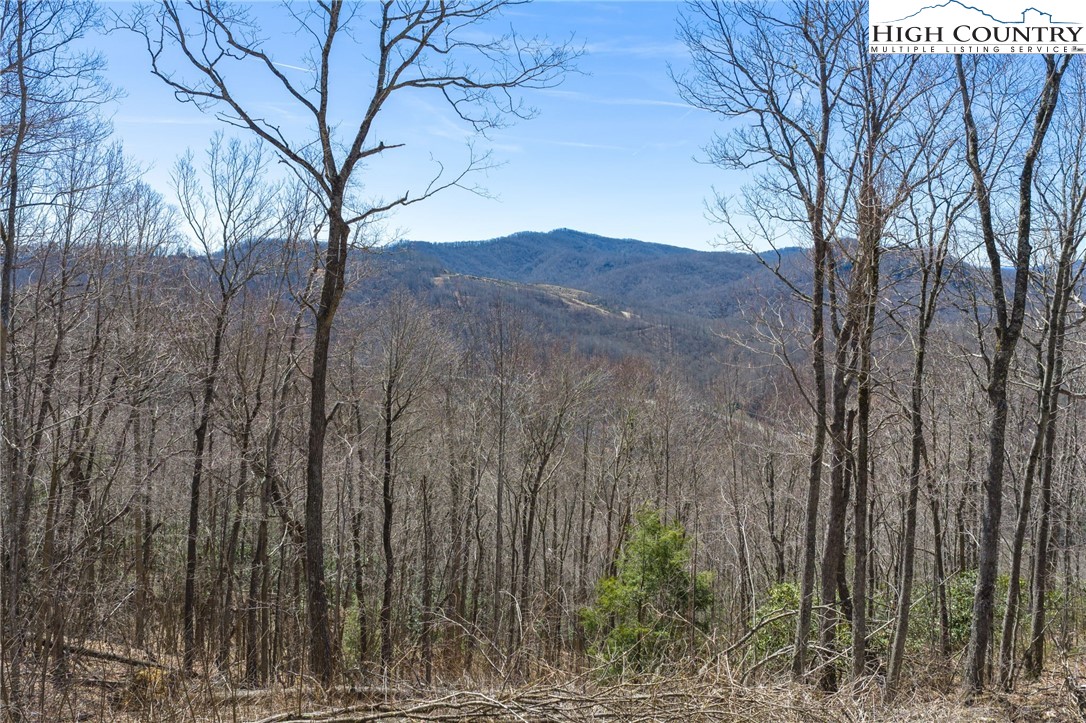 Lot 80 Bear Paw Road Elk Park, NC 28622 - Photo 2 of 19