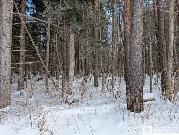 $99,900 | 1842-2 Highway 426, French Creek, NY 14724