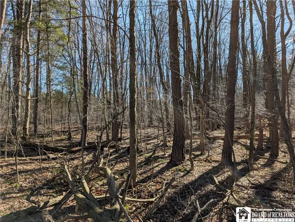 $99,900 | 1842-2 Highway 426, French Creek, NY 14724
