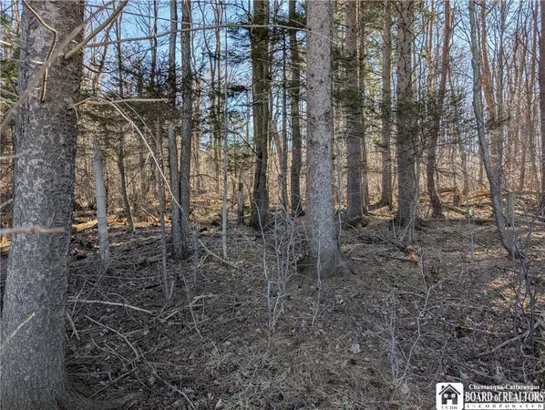 $99,900 | 1842-2 Highway 426, French Creek, NY 14724