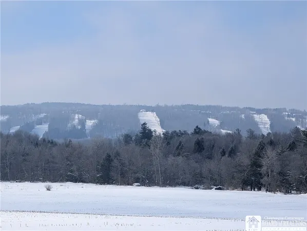 $99,900 | 1842-2 Highway 426, French Creek, NY 14724