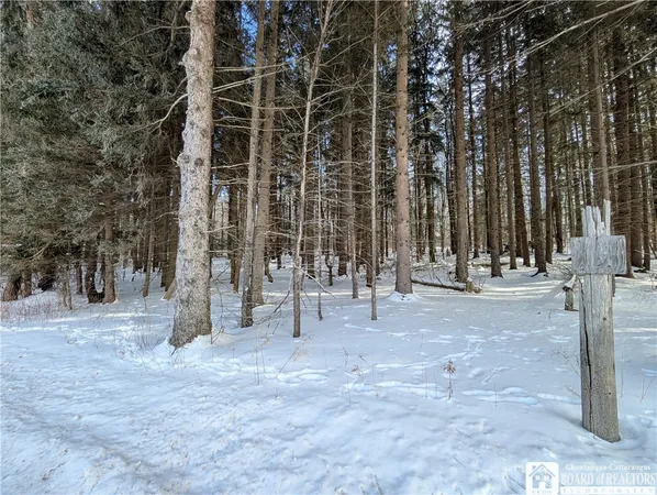 $99,900 | 1842-2 Highway 426, French Creek, NY 14724