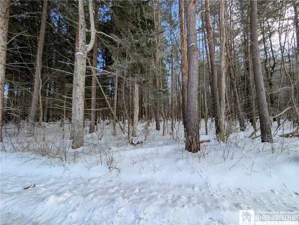 $99,900 | 1842-2 Highway 426, French Creek, NY 14724