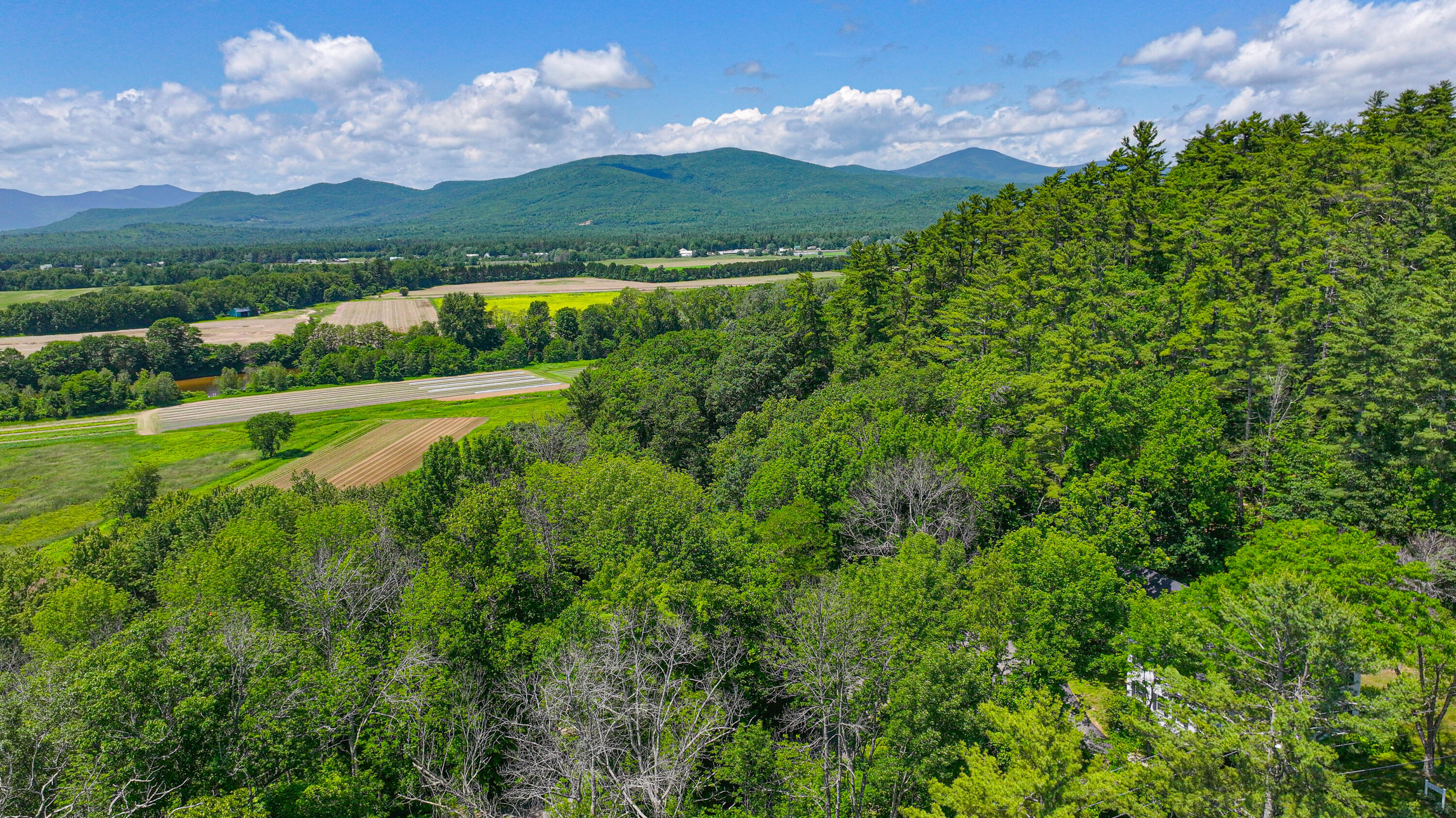 363 Main Street Fryeburg, ME 04037 - Photo 40 of 48 main street summer shots-28