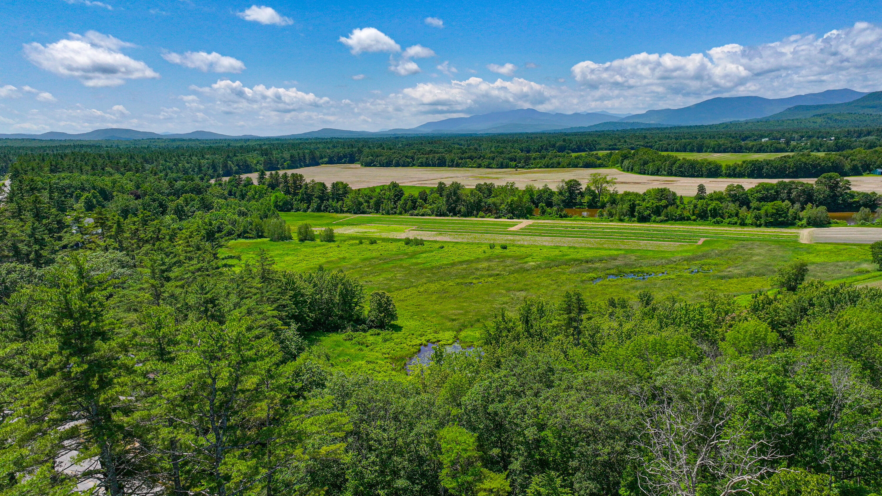 363 Main Street Fryeburg, ME 04037 - Photo 41 of 48 main street summer shots-27