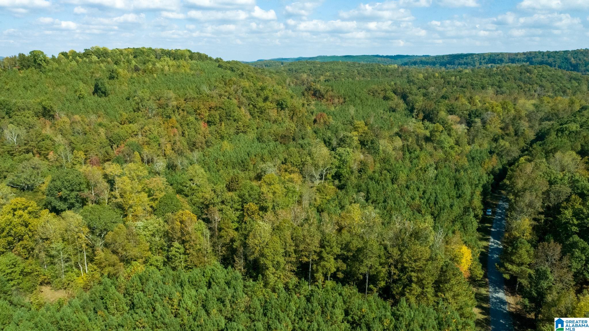 Hale Creek Road Oneonta, AL 35121 - Photo 3 of 17