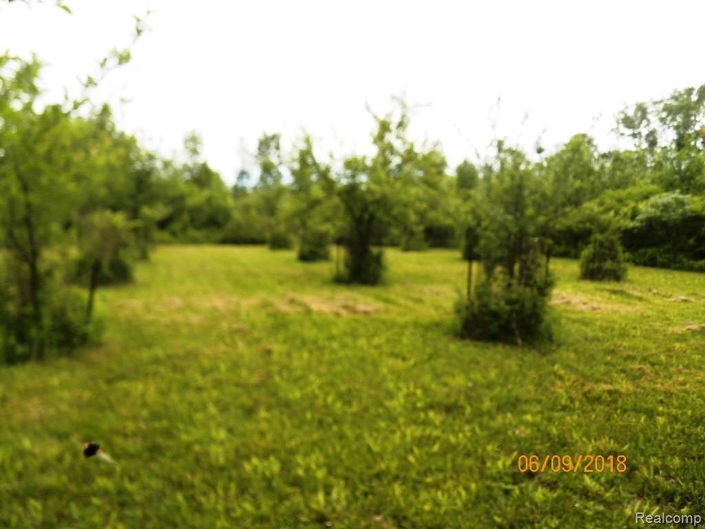 0 Banner Road Sandusky, MI 48471 - Photo 4 of 7