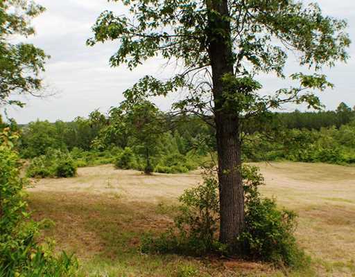139 Shady Oaks Road Lucedale, MS 39452 - Photo 23 of 25 Additional Photo