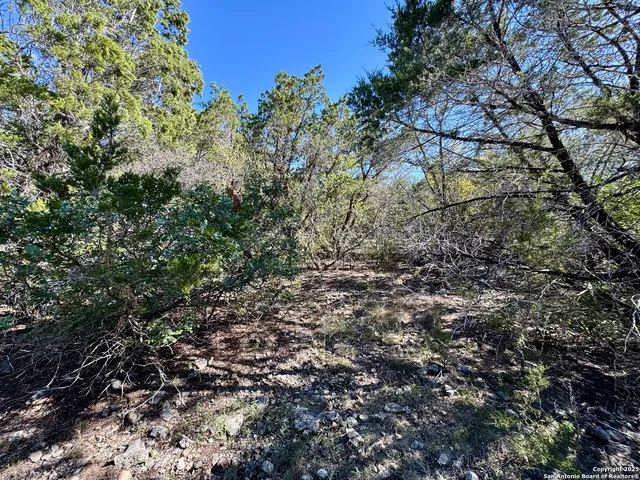 $155,000 | Lot 182 County Road 2816, Mico, TX 78056