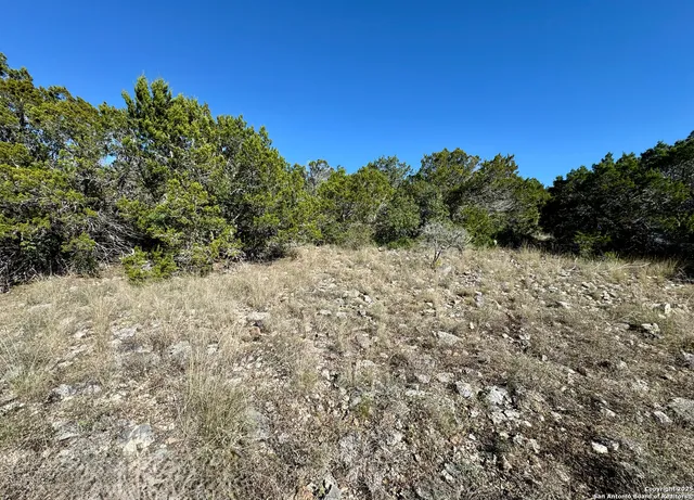 $155,000 | Lot 182 County Road 2816, Mico, TX 78056