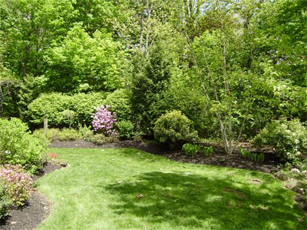 25 Squirrel Road Wellesley, MA 02481 - Photo 16 of 16