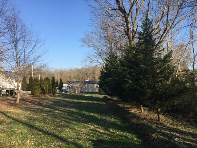 2705 Water Valley Road Santa Fe, TN 38482 - Photo 8 of 27 a view of a park with large trees