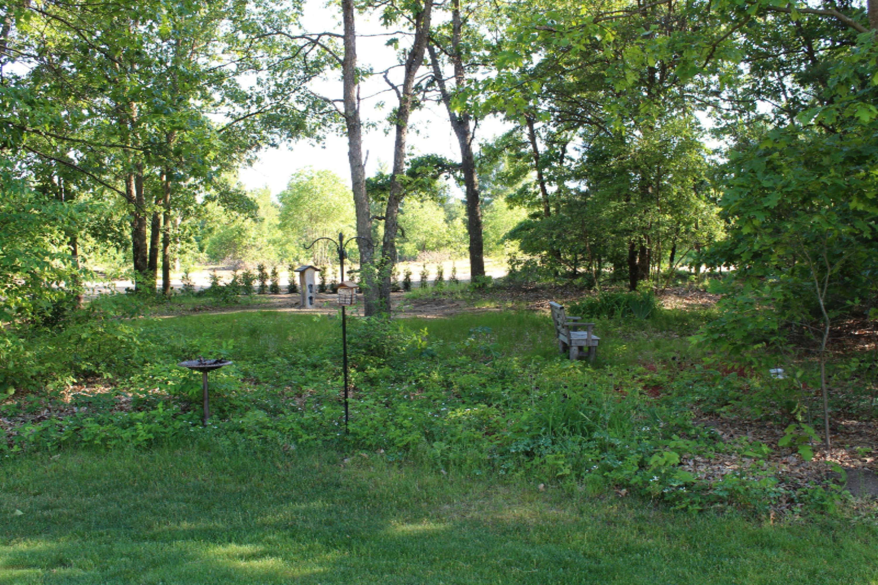 8224 South 116th Avenue Rothbury, MI 49452 - Photo 63 of 72 IMG_0849