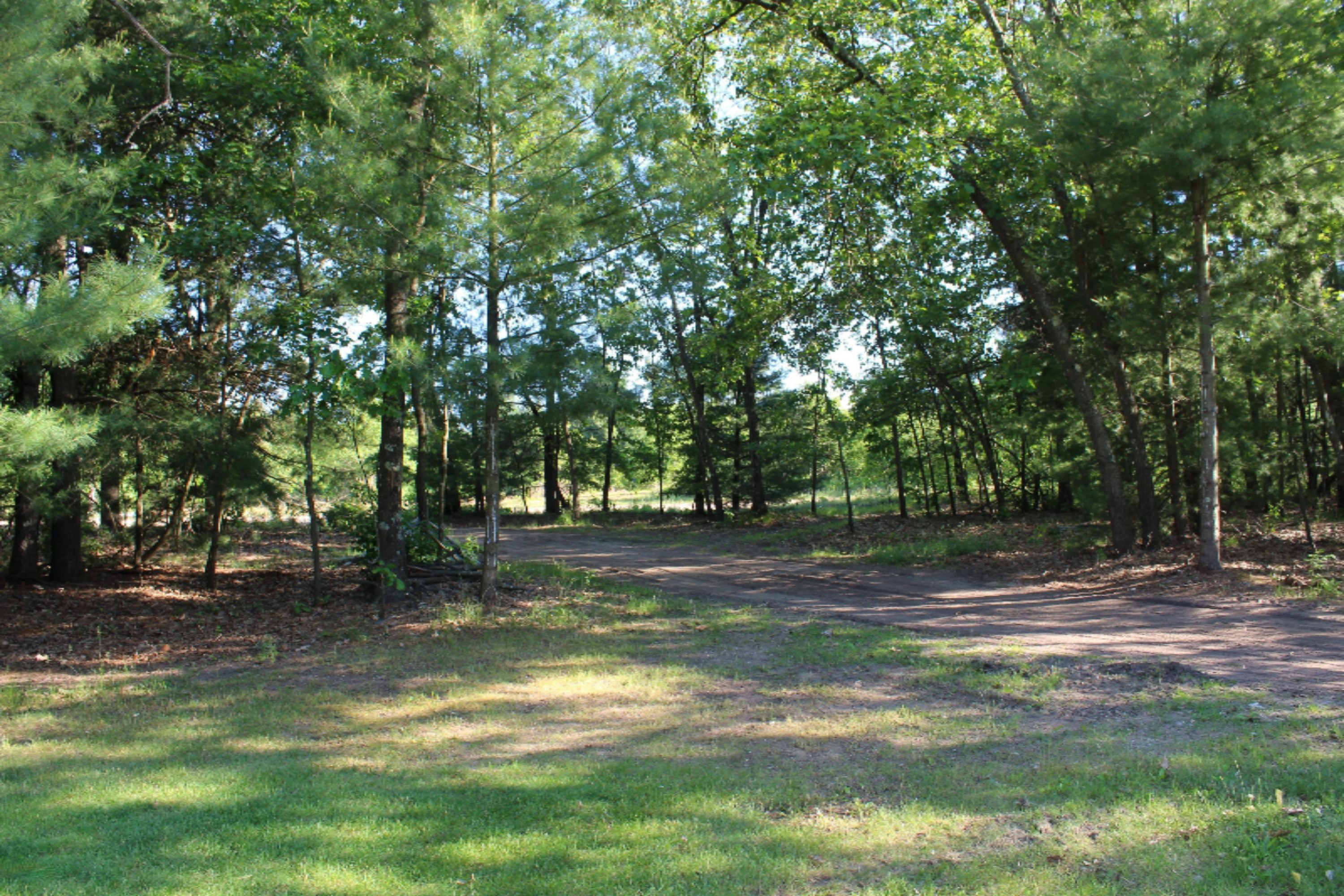 8224 South 116th Avenue Rothbury, MI 49452 - Photo 64 of 72 IMG_0867