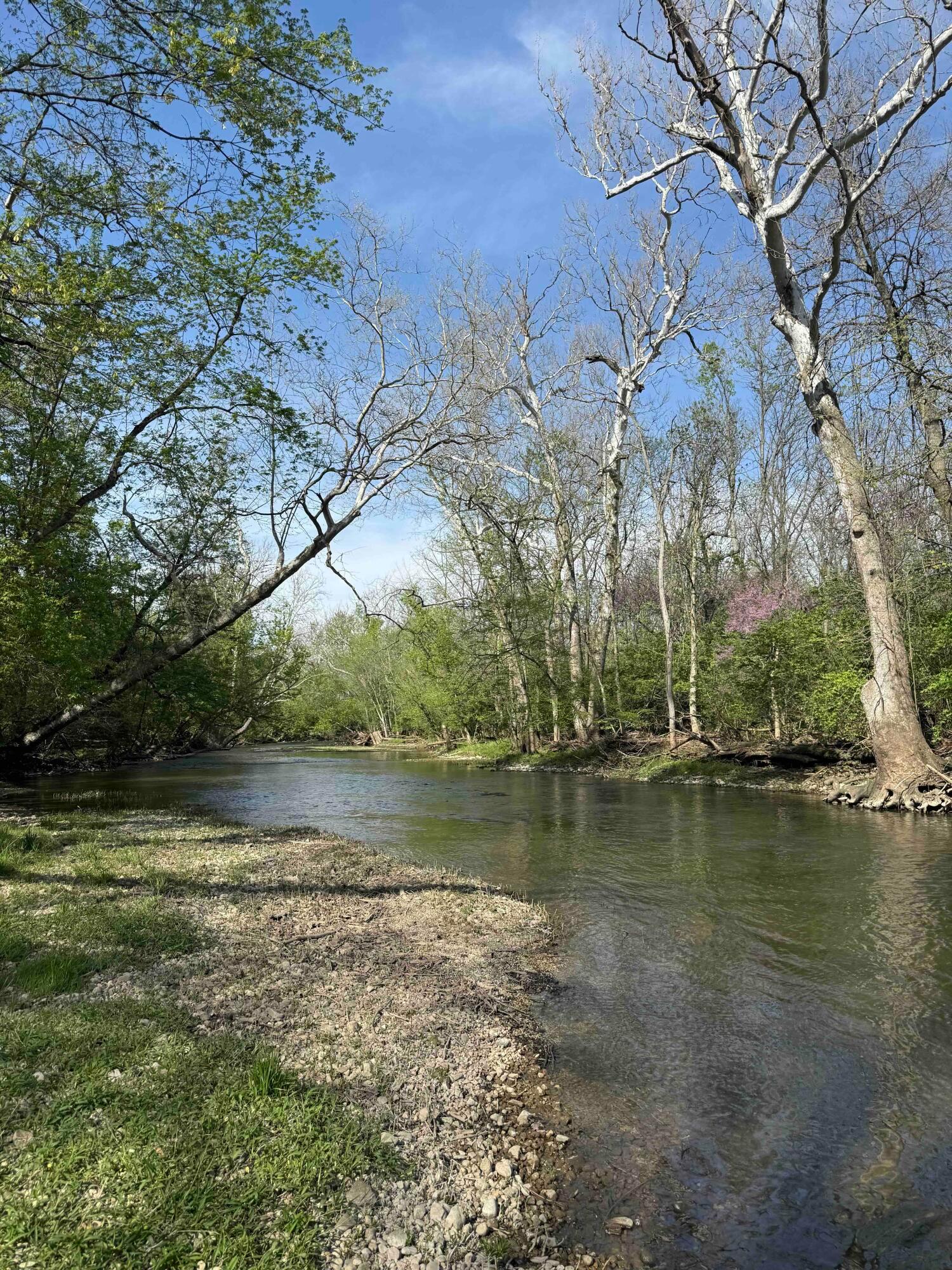 5105 Goodson Road West Jefferson, OH 43162 - Photo 10 of 61 Little Darby Creek