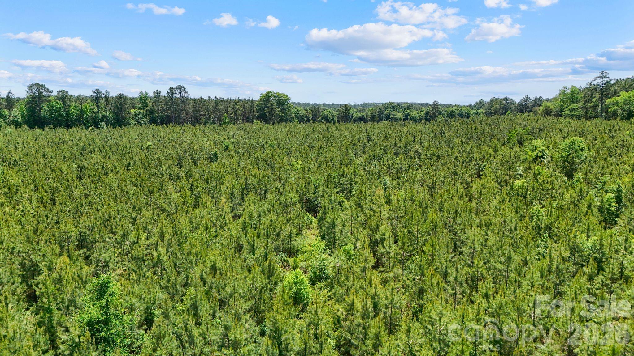 0 Cool Branch Road, Unit 1 Carlisle, SC 29031 - Photo 23 of 45 Gallery Image 23