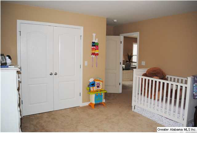 6313 Letson Farms Road McCalla, AL 35022 - Photo 18 of 20