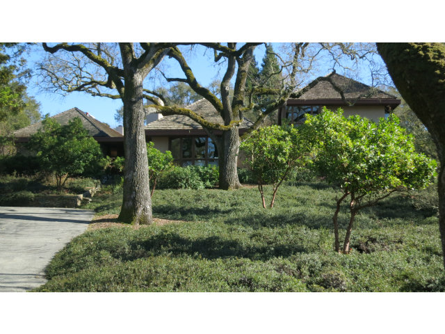 a view of a back yard