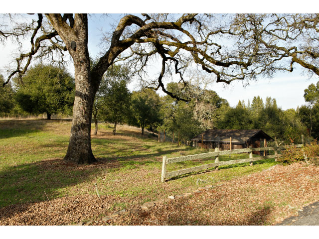 140 Farm Road Woodside, CA 94062 - Photo 16 of 16 a view of a yard with swimming pool