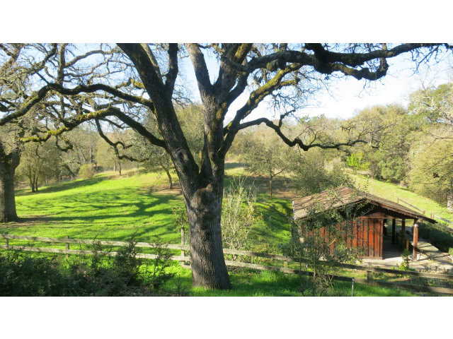 140 Farm Road Woodside, CA 94062 - Photo 3 of 16 a black and white photo of a lake