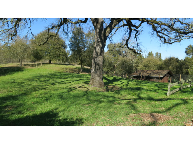 140 Farm Road Woodside, CA 94062 - Photo 4 of 16 a open area with trees in the background