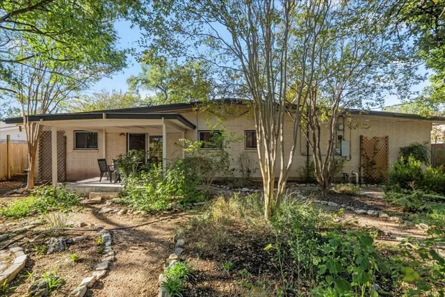 a backyard of a house with plants and tree
