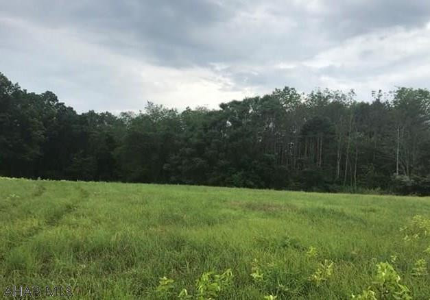 X Ritchey Road Everett, PA 15537 - Photo 2 of 3 a view of a grassy field