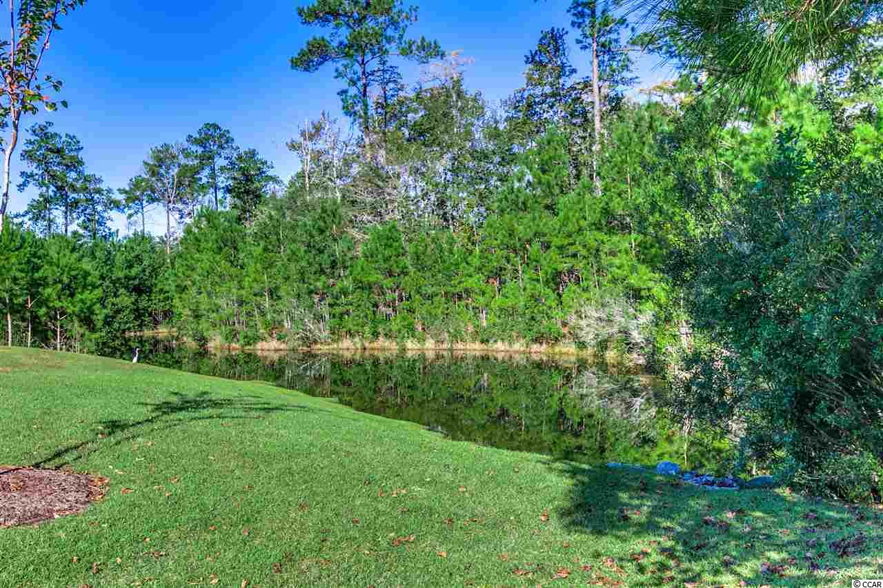 409 Grand Cypress Way Murrells Inlet, SC 29576 - Photo 4 of 25 Gallery Image 4