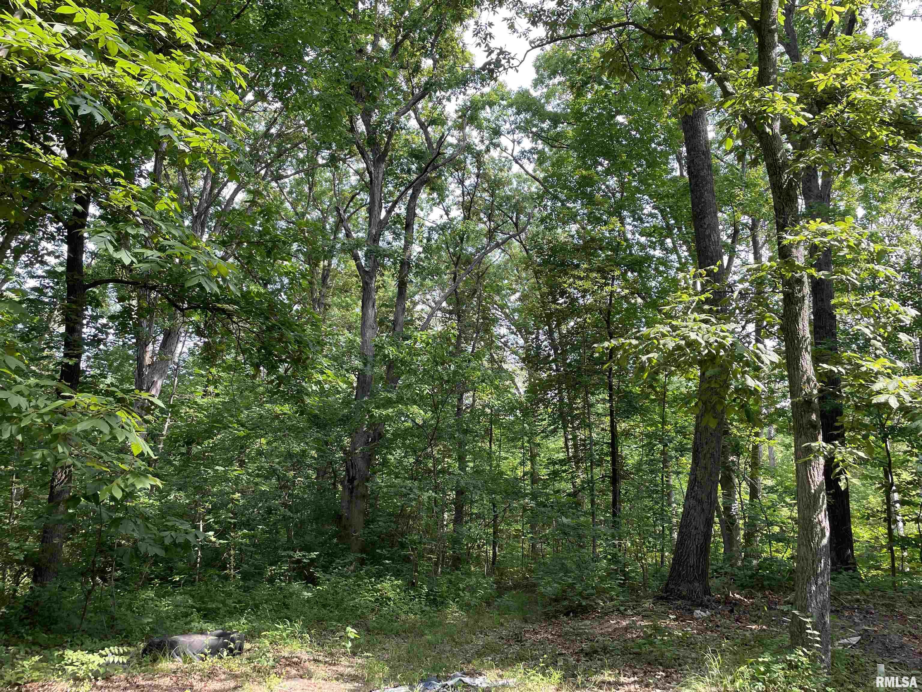 4567 Church Road Salem, IL 62881 - Photo 27 of 49