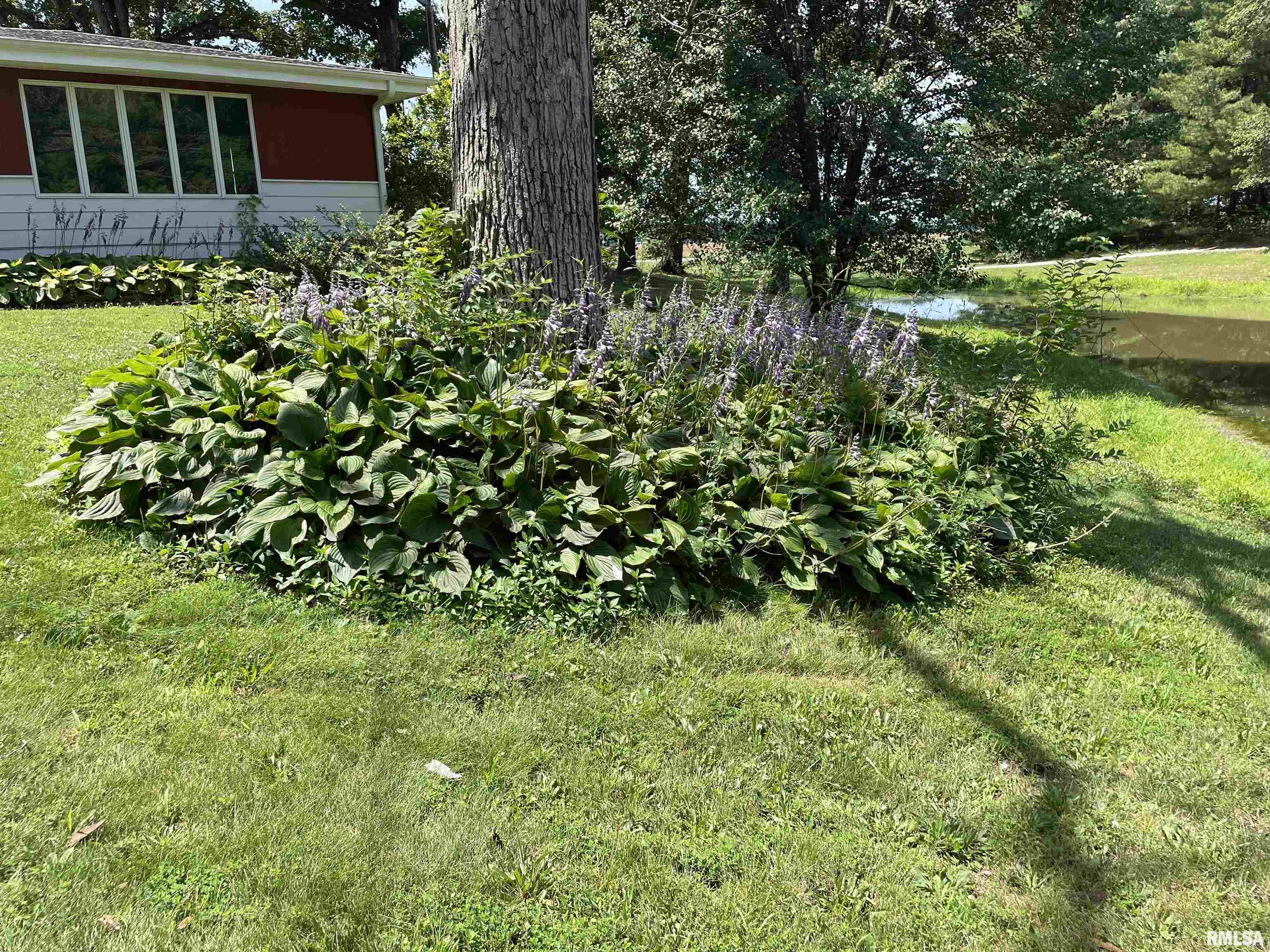 4567 Church Road Salem, IL 62881 - Photo 39 of 49
