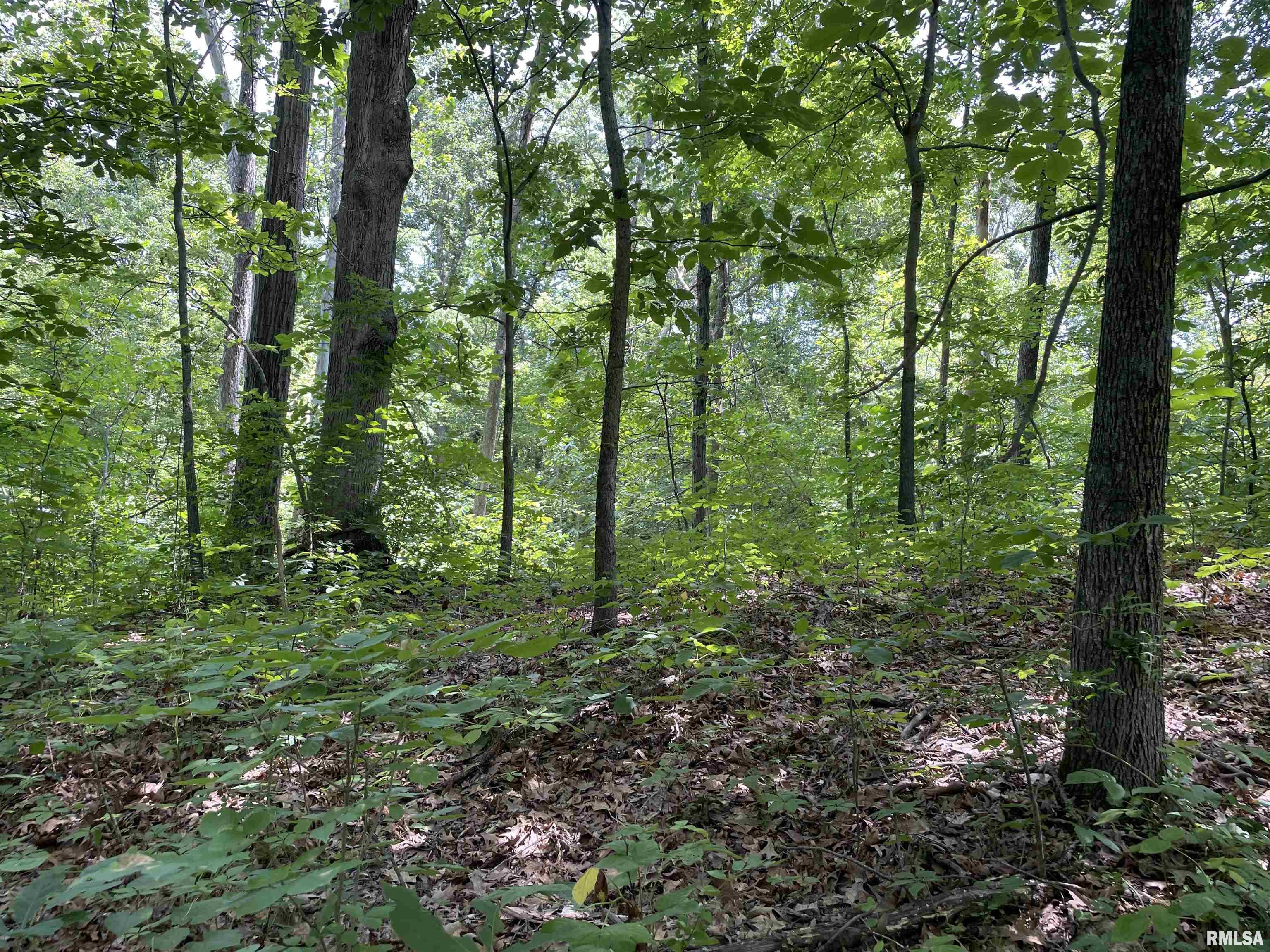 4567 Church Road Salem, IL 62881 - Photo 42 of 49