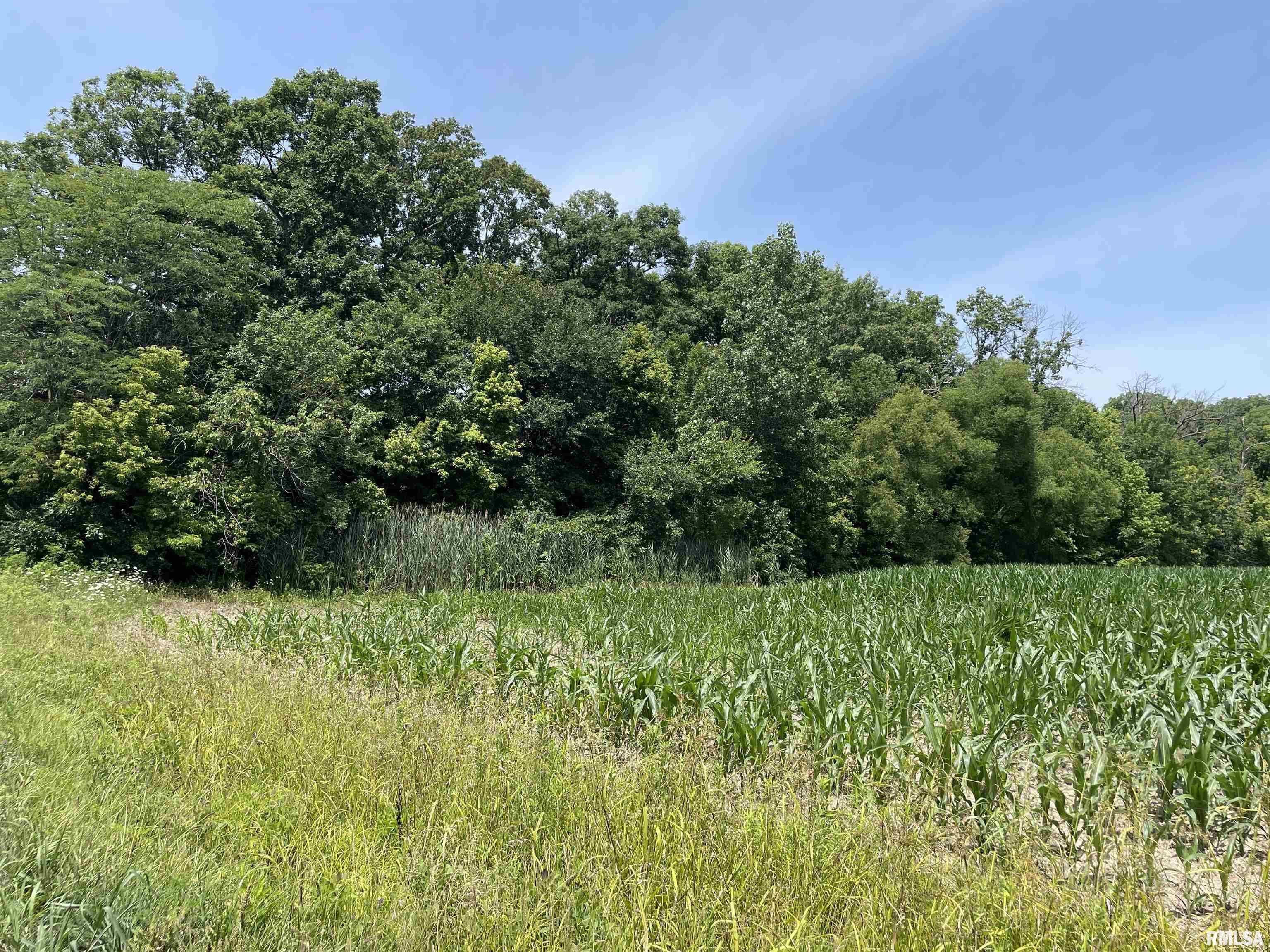 4567 Church Road Salem, IL 62881 - Photo 47 of 49