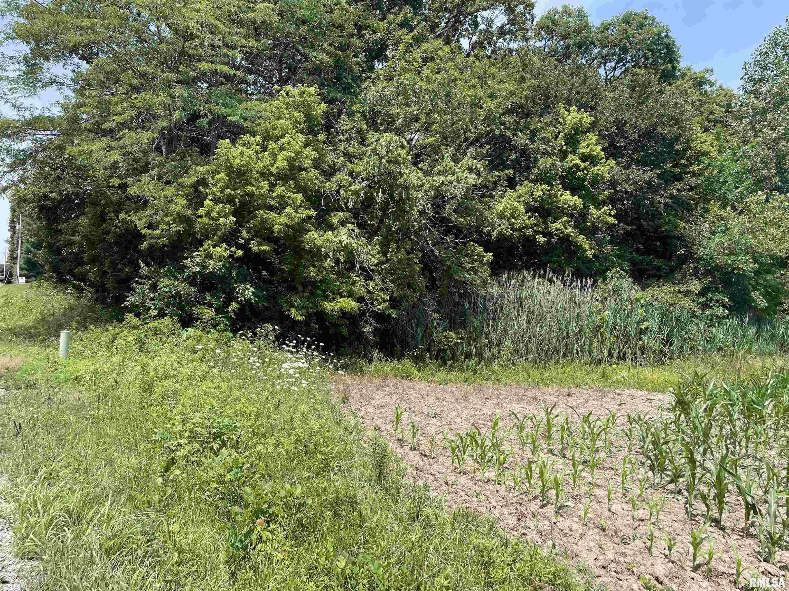 4567 Church Road Salem, IL 62881 - Photo 48 of 49