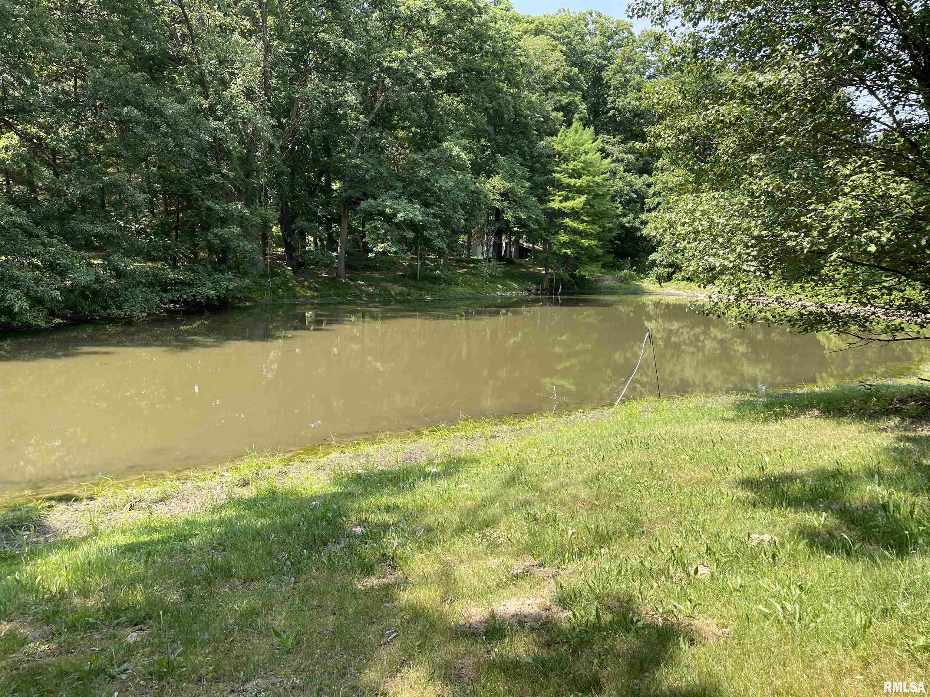 4567 Church Road Salem, IL 62881 - Photo 10 of 49