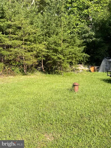 a view of yard with large trees