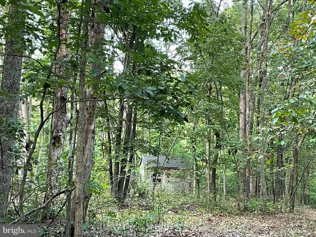 a backyard of a house with lots of trees