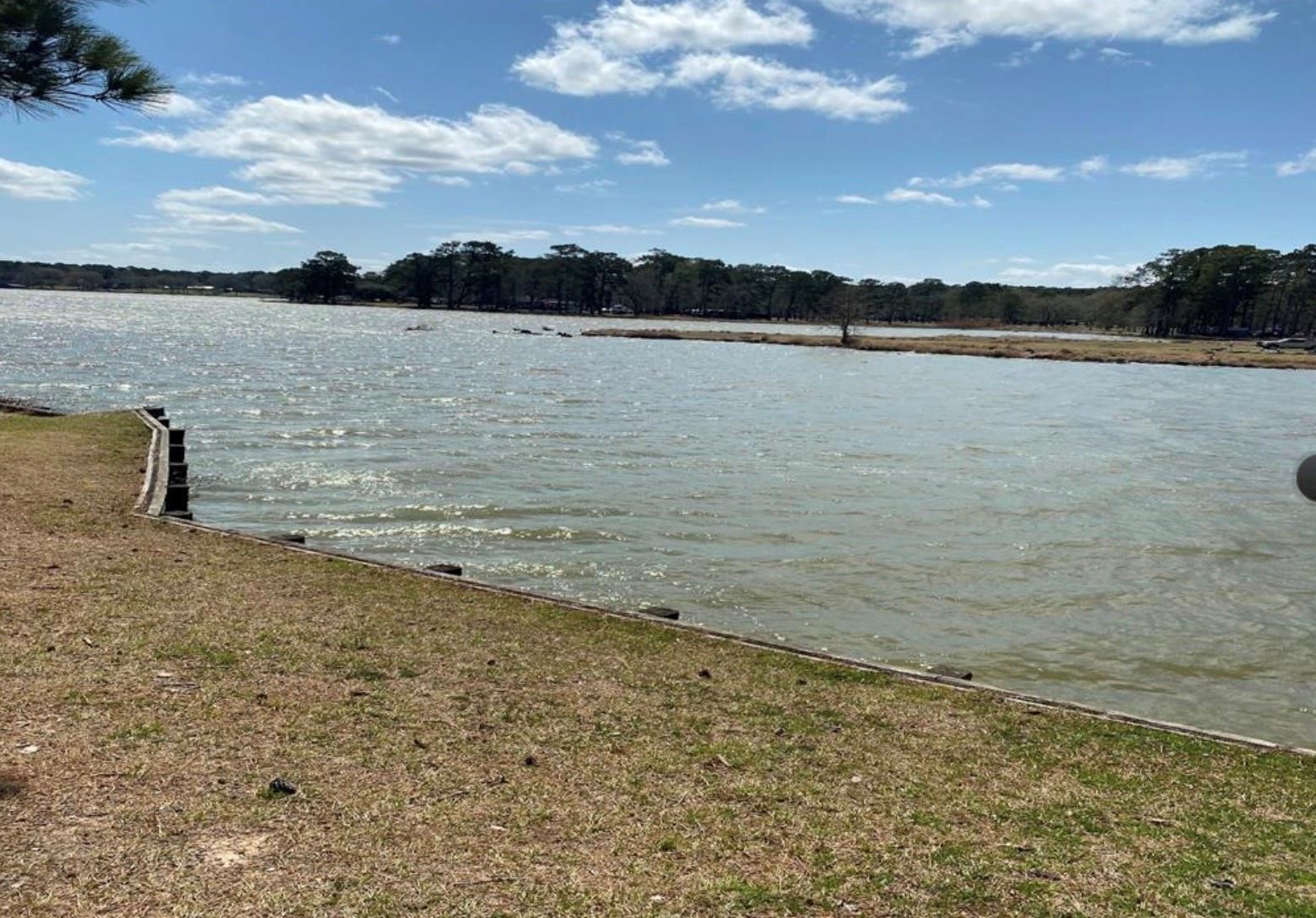 370 Dawns Edge Trinity, TX 75862 - Photo 2 of 4