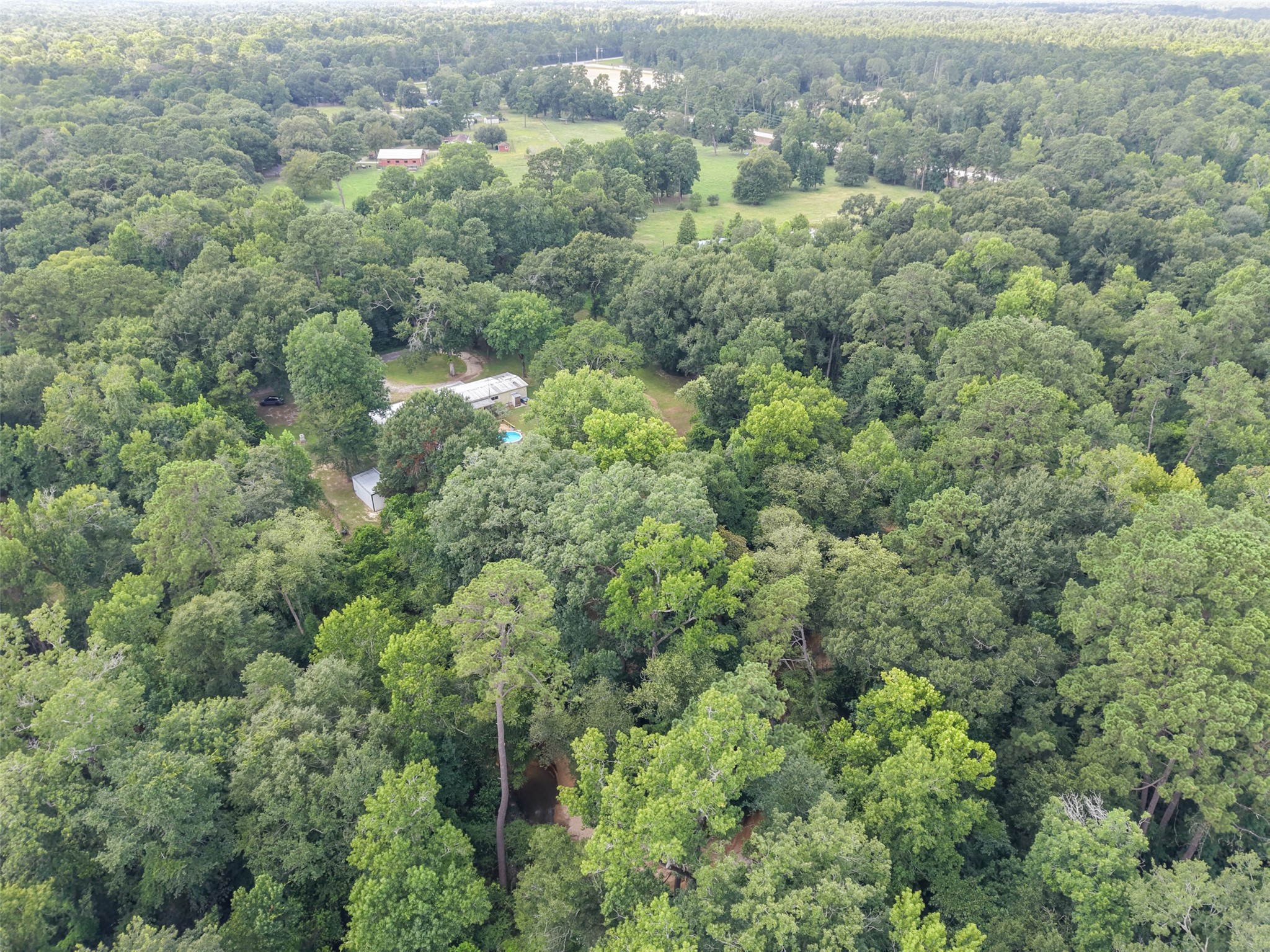 10291 Hart Road Conroe, TX 77306 - Photo 8 of 23 Wooded land extends beyond the home to the right. See survey.
