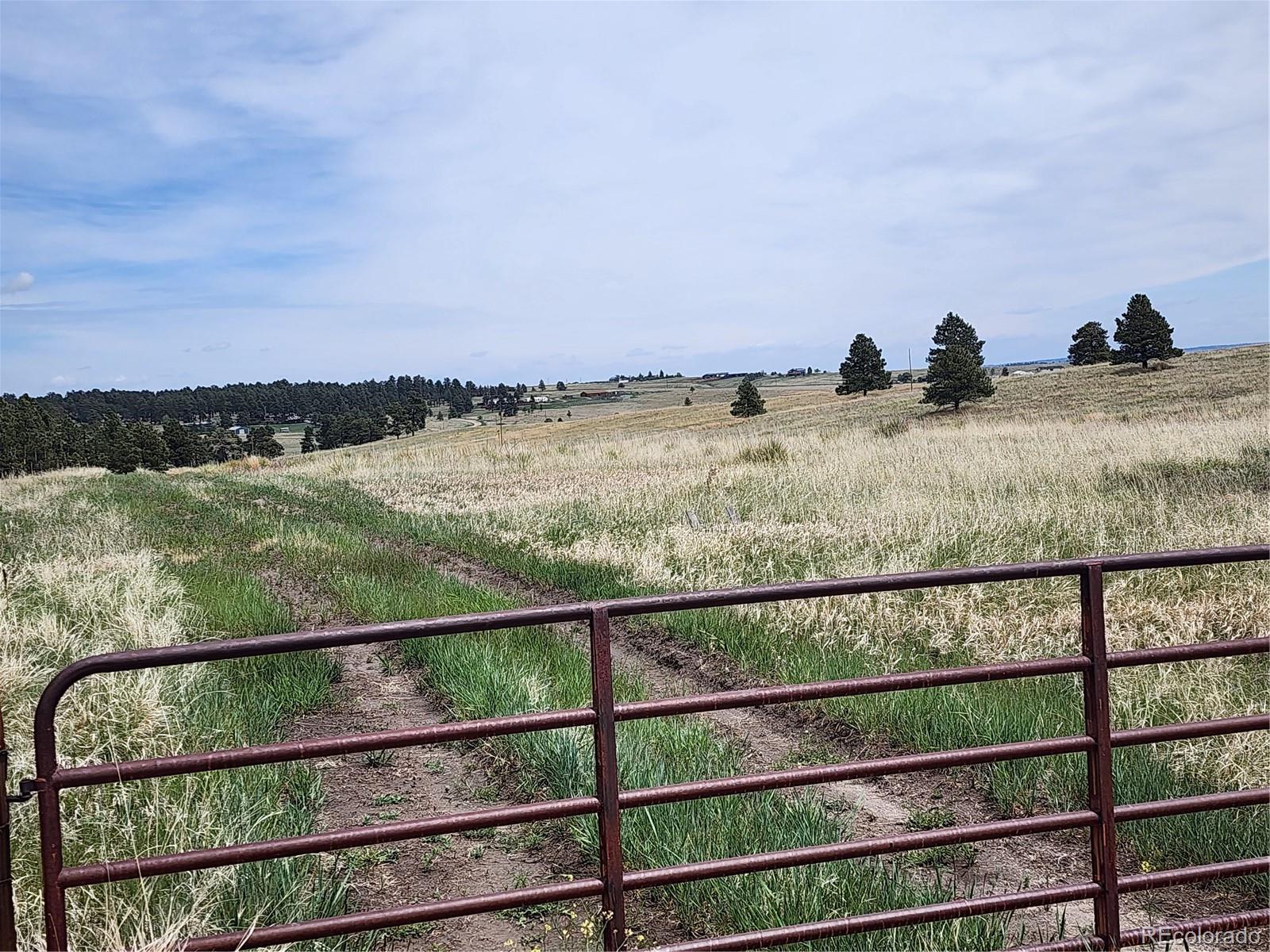 13753 Hawkeye Road Kiowa, CO 80117 - Photo 4 of 4