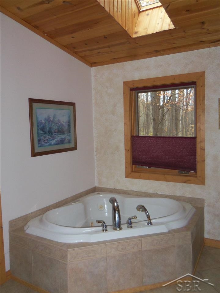 5210 South Iva Road St. Charles, MI 48655 - Photo 13 of 23